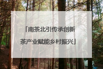 南茶北引传承创新 茶产业赋能乡村振兴