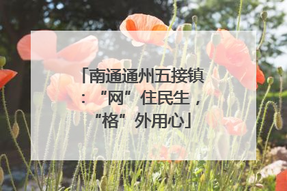 南通通州五接镇：“网”住民生，“格”外用心