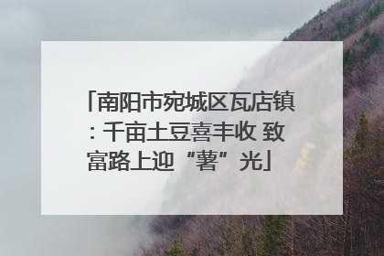南阳市宛城区瓦店镇：千亩土豆喜丰收 致富路上迎“薯”光