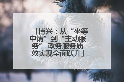 博兴：从“坐等申请”到“主动服务” 政务服务质效实现全面跃升