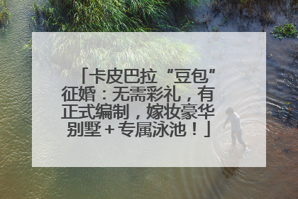 卡皮巴拉“豆包”征婚：无需彩礼，有正式编制，嫁妆豪华别墅＋专属泳池！