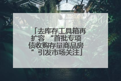 去库存工具箱再扩容 “首批专项债收购存量商品房”引发市场关注