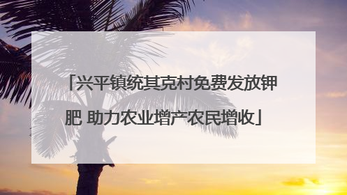 兴平镇统其克村免费发放钾肥 助力农业增产农民增收