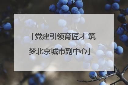 党建引领育匠才 筑梦北京城市副中心