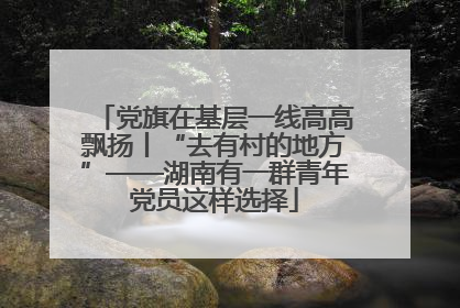 党旗在基层一线高高飘扬丨“去有村的地方”——湖南有一群青年党员这样选择