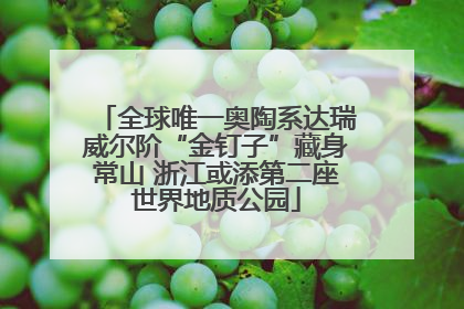 全球唯一奥陶系达瑞威尔阶“金钉子”藏身常山 浙江或添第二座世界地质公园