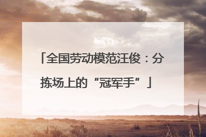 全国劳动模范汪俊：分拣场上的“冠军手”