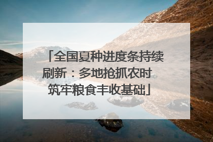 全国夏种进度条持续刷新：多地抢抓农时 筑牢粮食丰收基础