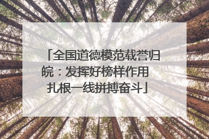 全国道德模范载誉归皖：发挥好榜样作用 扎根一线拼搏奋斗