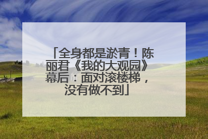 全身都是淤青！陈丽君《我的大观园》幕后：面对滚楼梯，没有做不到