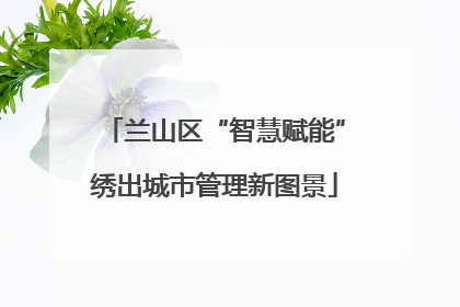 兰山区“智慧赋能”绣出城市管理新图景