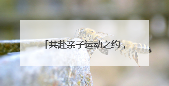 共赴亲子运动之约，2025年上海城市业余联赛第三届超越极限亲子挑战赛落幕