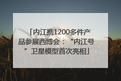 内江携1200多件产品参展西博会：“内江号”卫星模型首次亮相