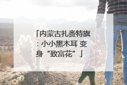 内蒙古扎赉特旗：小小黑木耳 变身“致富花”