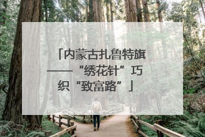 内蒙古扎鲁特旗——“绣花针”巧织“致富路”