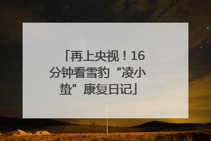 再上央视！16分钟看雪豹“凌小蛰”康复日记