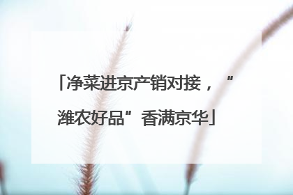净菜进京产销对接，“潍农好品”香满京华
