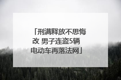 刑满释放不思悔改 男子连盗5辆电动车再落法网