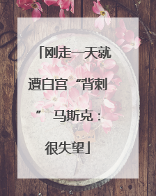 刚走一天就遭白宫“背刺” 马斯克：很失望