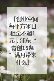 创业空间每平方米日租金不超1元，浦东“青创15条”满月带来什么