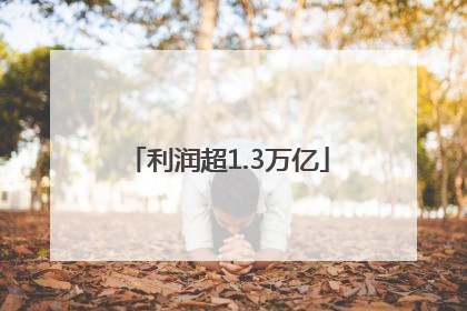 利润超1.3万亿