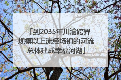 到2035年川渝跨界规模以上流经场镇的河流总体建成幸福河湖