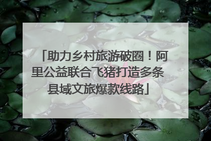 助力乡村旅游破圈！阿里公益联合飞猪打造多条县域文旅爆款线路