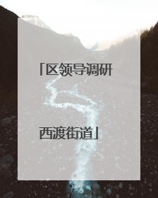 区领导调研西渡街道