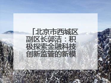 北京市西城区副区长郭洁：积极探索金融科技创新监管的新模式和新方法