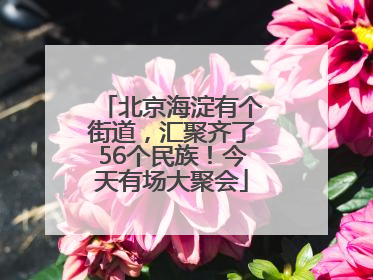 北京海淀有个街道，汇聚齐了56个民族！今天有场大聚会
