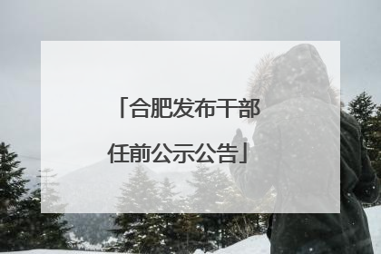 合肥发布干部任前公示公告