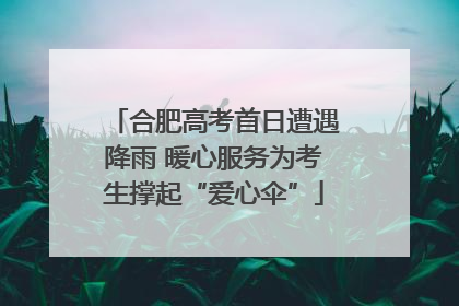 合肥高考首日遭遇降雨 暖心服务为考生撑起“爱心伞”