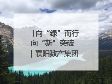 向“绿”而行 向“新”突破｜襄阳数产集团赋能低碳未来