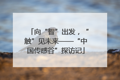 向“智”出发，“触”见未来——“中国传感谷”探访记