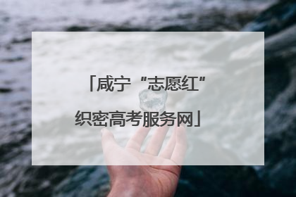 咸宁“志愿红”织密高考服务网