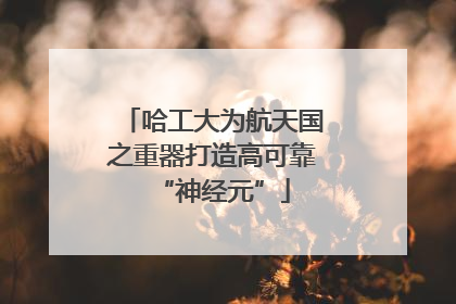 哈工大为航天国之重器打造高可靠“神经元”