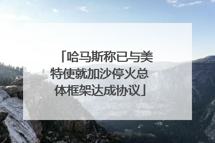 哈马斯称已与美特使就加沙停火总体框架达成协议