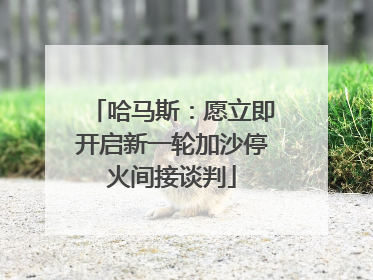 哈马斯：愿立即开启新一轮加沙停火间接谈判