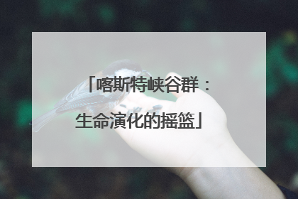 喀斯特峡谷群：生命演化的摇篮