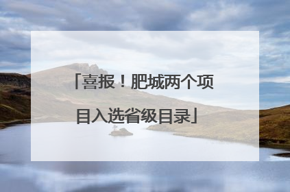 喜报！肥城两个项目入选省级目录