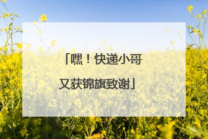 嘿！快递小哥又获锦旗致谢