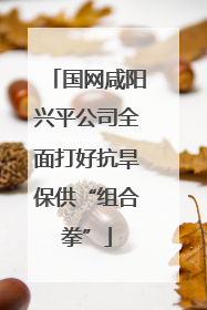 国网咸阳兴平公司全面打好抗旱保供“组合拳”