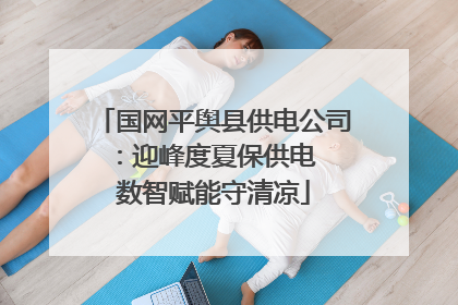 国网平舆县供电公司：迎峰度夏保供电  数智赋能守清凉