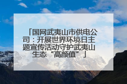 国网武夷山市供电公司：开展世界环境日主题宣传活动守护武夷山生态“高颜值”