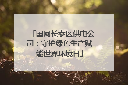 国网长泰区供电公司：守护绿色生产赋能世界环境日