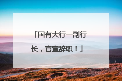 国有大行一副行长，官宣辞职！