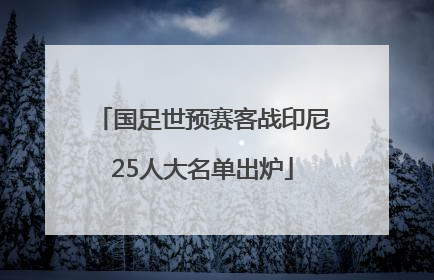 国足世预赛客战印尼25人大名单出炉