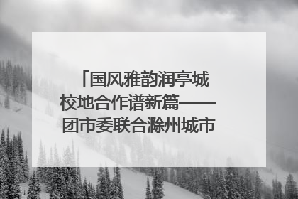 国风雅韵润亭城 校地合作谱新篇——团市委联合滁州城市职业学院助力传统文化“破圈”绽放