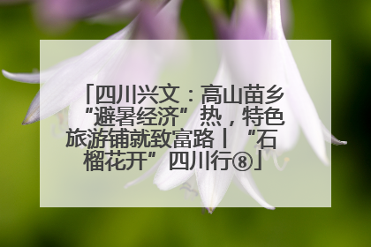 四川兴文：高山苗乡“避暑经济”热，特色旅游铺就致富路丨“石榴花开”四川行⑧