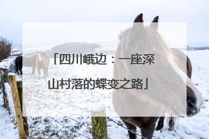 四川峨边：一座深山村落的蝶变之路